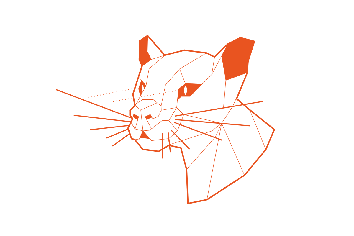 imaxe